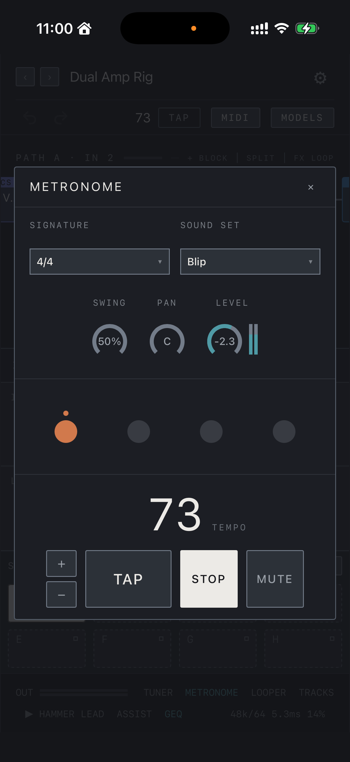 NAM FX on iPhone — Metronome