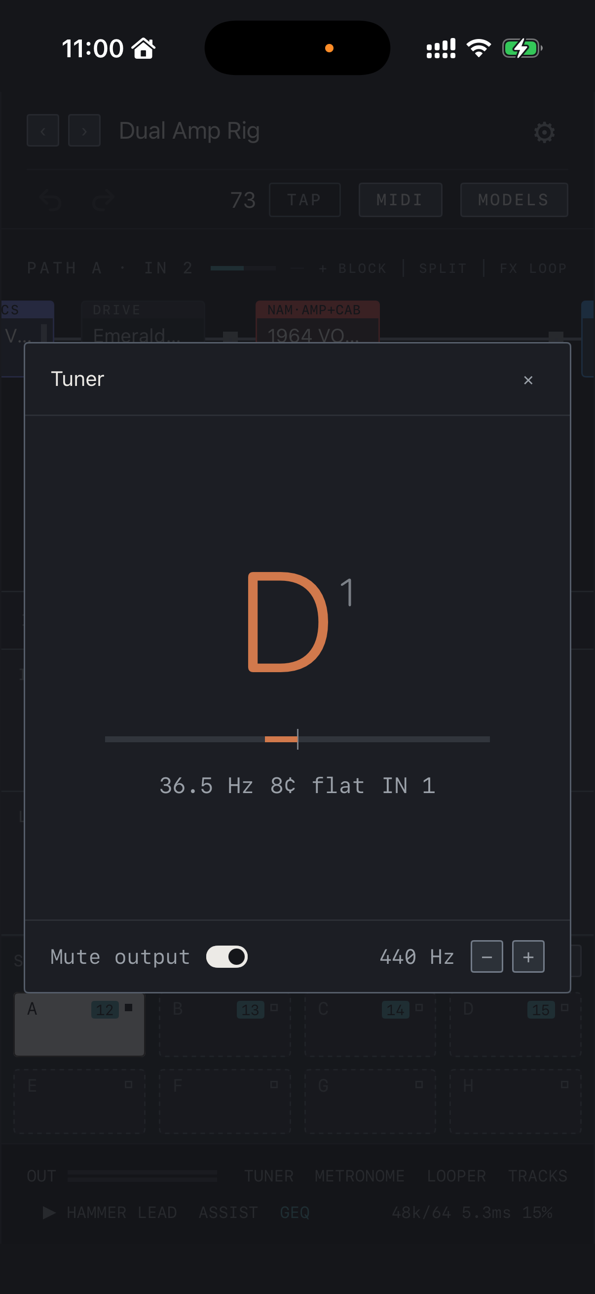 NAM FX on iPhone — Tuner