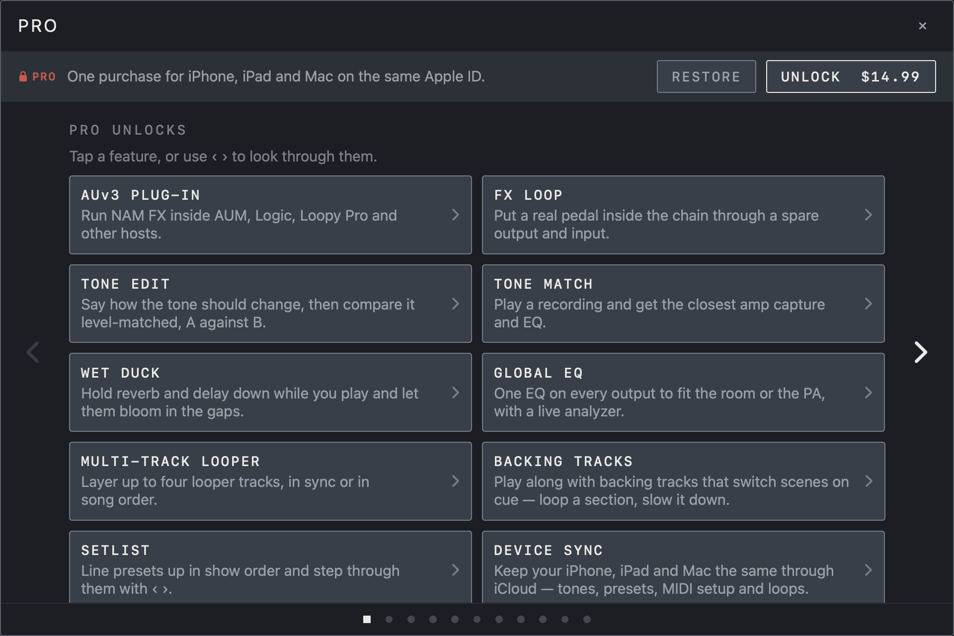 NAM FX on iPad — Unlock and restore