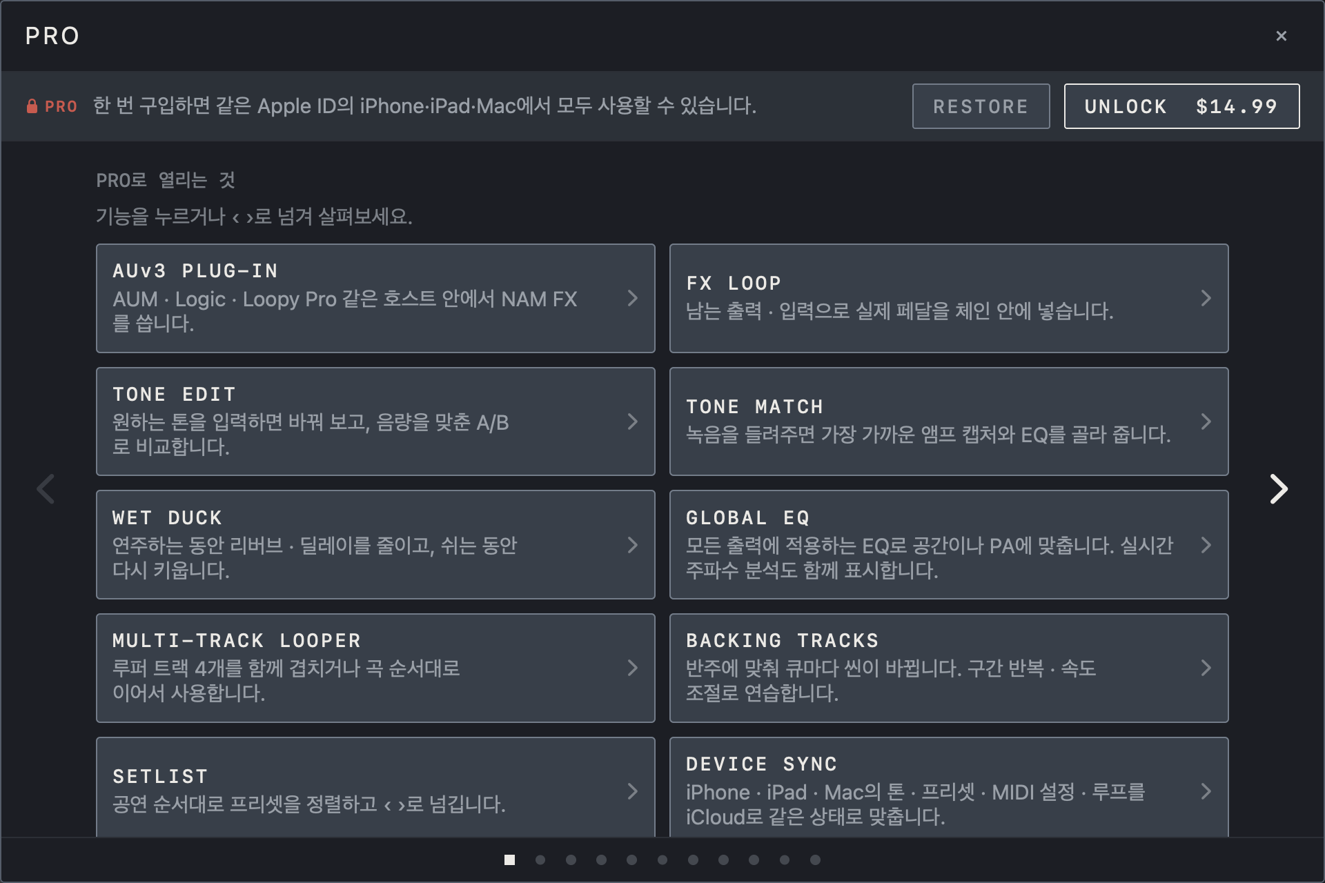 NAM FX iPad 화면 — 구입과 복원